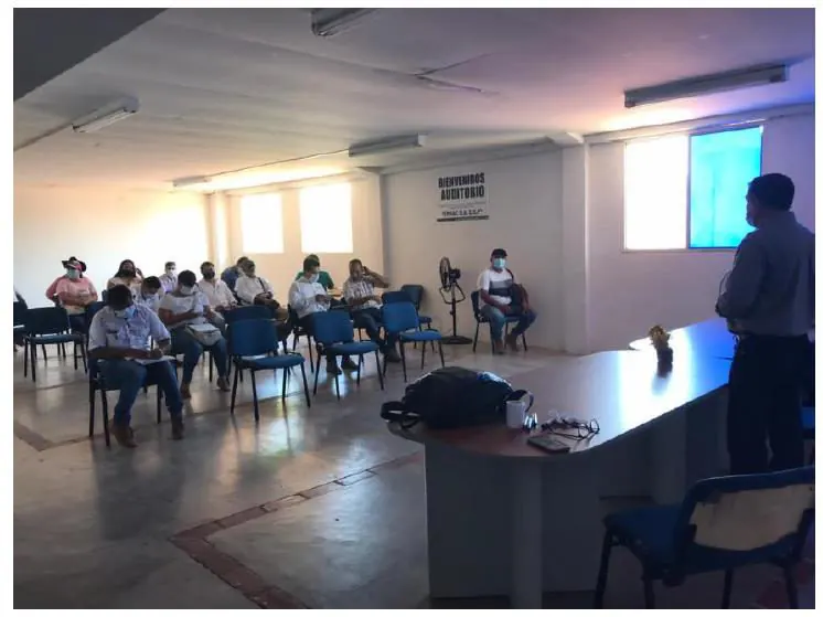 Socialización en auditorio